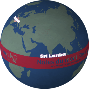 « PowerGlobe » par One Stop Map (CC BY 4.0)