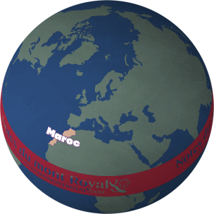 « PowerGlobe » par One Stop Map (CC BY 4.0)