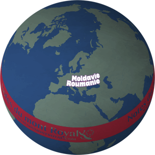 « PowerGlobe » par One Stop Map (CC BY 4.0)