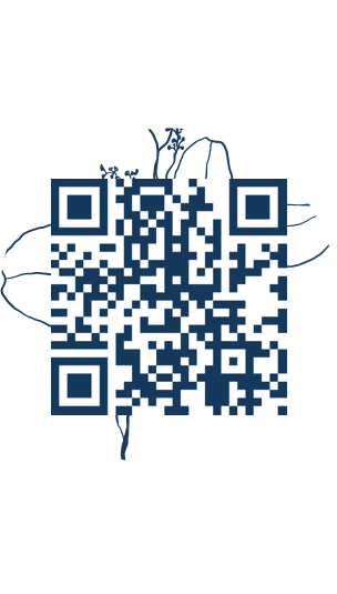 https://www.notesdumontroyal.com/note/1008