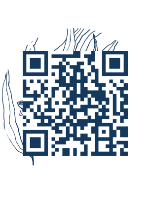 https://www.notesdumontroyal.com/note/1009