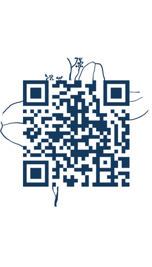 https://www.notesdumontroyal.com/note/1018