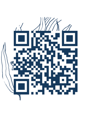 https://www.notesdumontroyal.com/note/1019