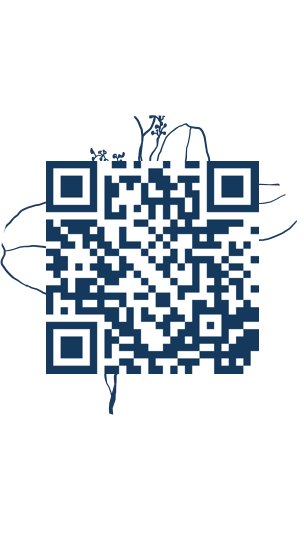 https://www.notesdumontroyal.com/note/1028
