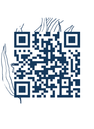 https://www.notesdumontroyal.com/note/1029