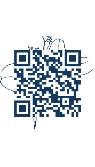 https://www.notesdumontroyal.com/note/1038