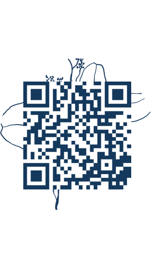 https://www.notesdumontroyal.com/note/1048