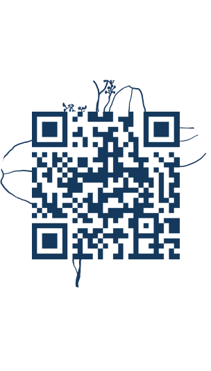 https://www.notesdumontroyal.com/note/1068