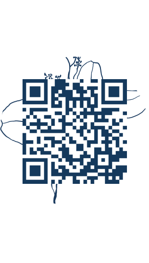 https://www.notesdumontroyal.com/note/108