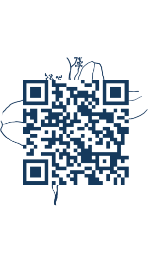 https://www.notesdumontroyal.com/note/1088