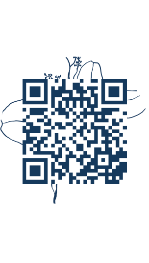 https://www.notesdumontroyal.com/note/1108