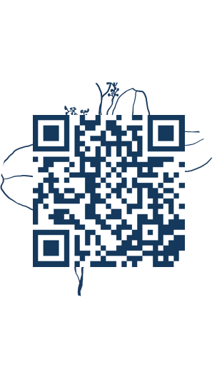 https://www.notesdumontroyal.com/note/1118