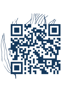 https://www.notesdumontroyal.com/note/119