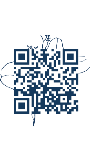 https://www.notesdumontroyal.com/note/128