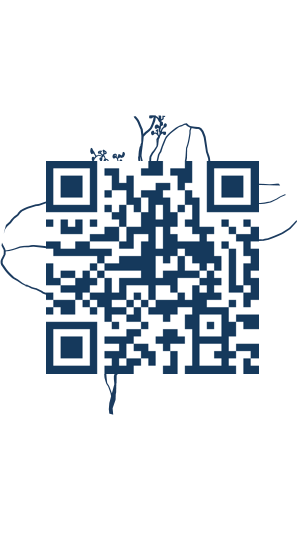 https://www.notesdumontroyal.com/note/138