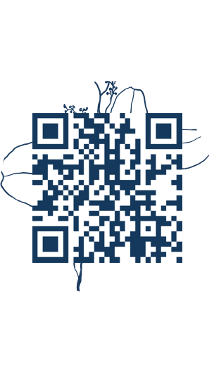 https://www.notesdumontroyal.com/note/148