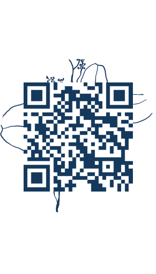 https://www.notesdumontroyal.com/note/158