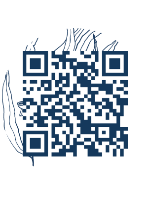 https://www.notesdumontroyal.com/note/159