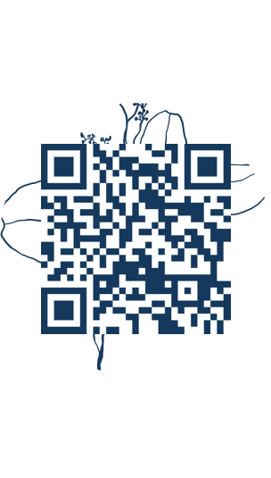 https://www.notesdumontroyal.com/note/18