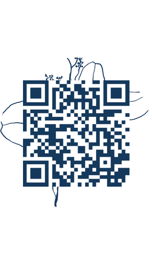 https://www.notesdumontroyal.com/note/188