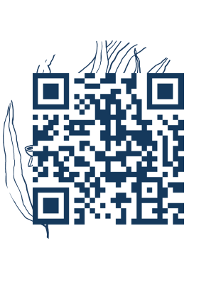 https://www.notesdumontroyal.com/note/189