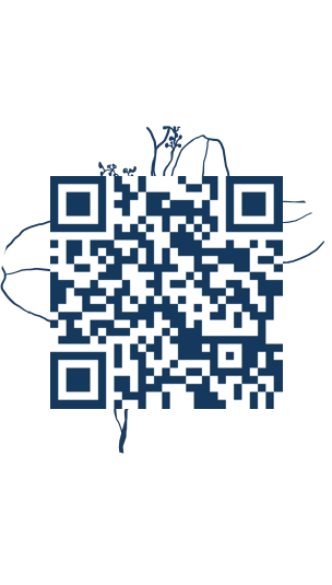 https://www.notesdumontroyal.com/note/198
