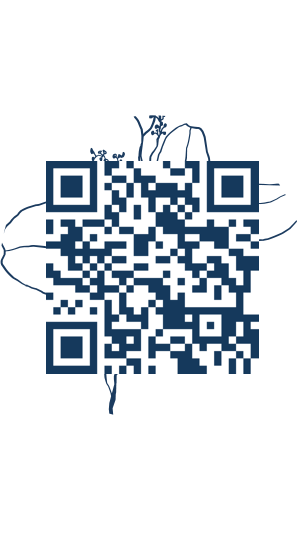 https://www.notesdumontroyal.com/note/208