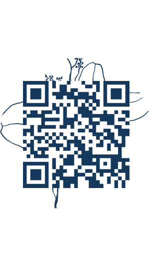https://www.notesdumontroyal.com/note/218