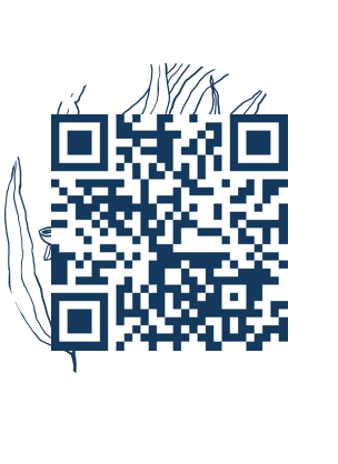https://www.notesdumontroyal.com/note/219