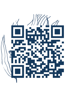 https://www.notesdumontroyal.com/note/229