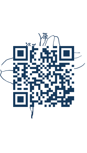 https://www.notesdumontroyal.com/note/238