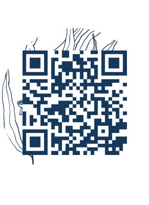 https://www.notesdumontroyal.com/note/239