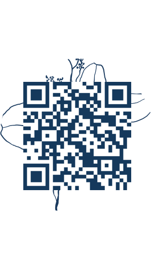https://www.notesdumontroyal.com/note/248