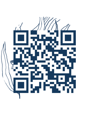 https://www.notesdumontroyal.com/note/249