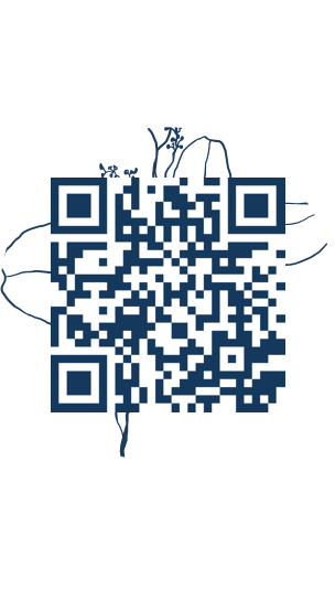 https://www.notesdumontroyal.com/note/258