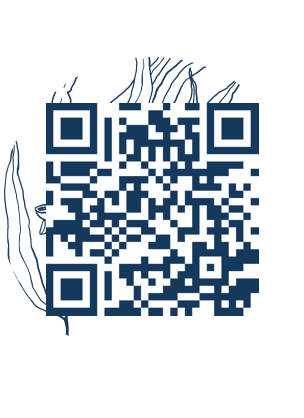 https://www.notesdumontroyal.com/note/259