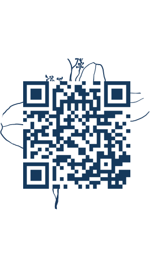 https://www.notesdumontroyal.com/note/268