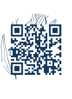 https://www.notesdumontroyal.com/note/269