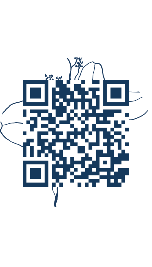 https://www.notesdumontroyal.com/note/278