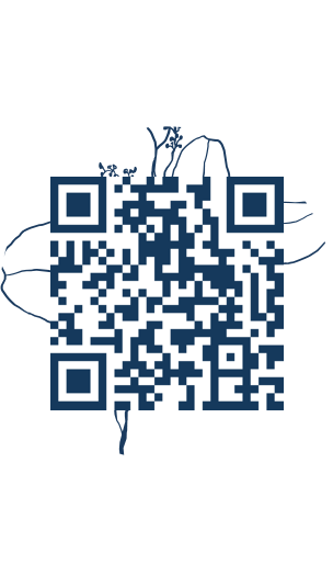 https://www.notesdumontroyal.com/note/28