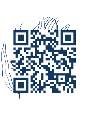 https://www.notesdumontroyal.com/note/289