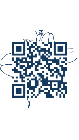 https://www.notesdumontroyal.com/note/308