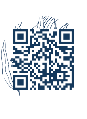 https://www.notesdumontroyal.com/note/309