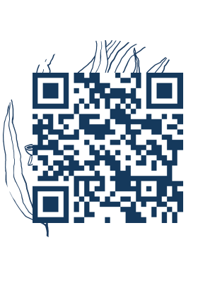 https://www.notesdumontroyal.com/note/319