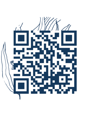 https://www.notesdumontroyal.com/note/329
