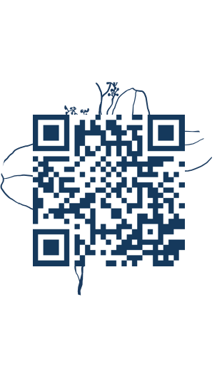 https://www.notesdumontroyal.com/note/338