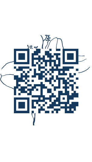 https://www.notesdumontroyal.com/note/348