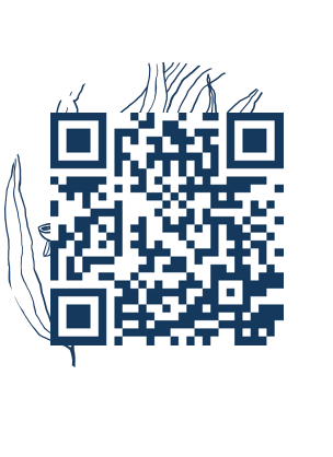 https://www.notesdumontroyal.com/note/349