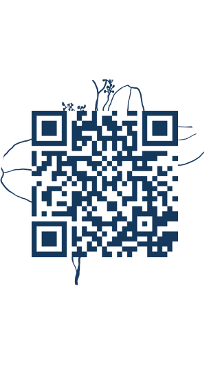 https://www.notesdumontroyal.com/note/358