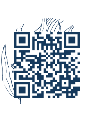 https://www.notesdumontroyal.com/note/359